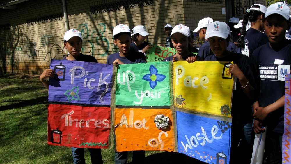 Learning in the forest