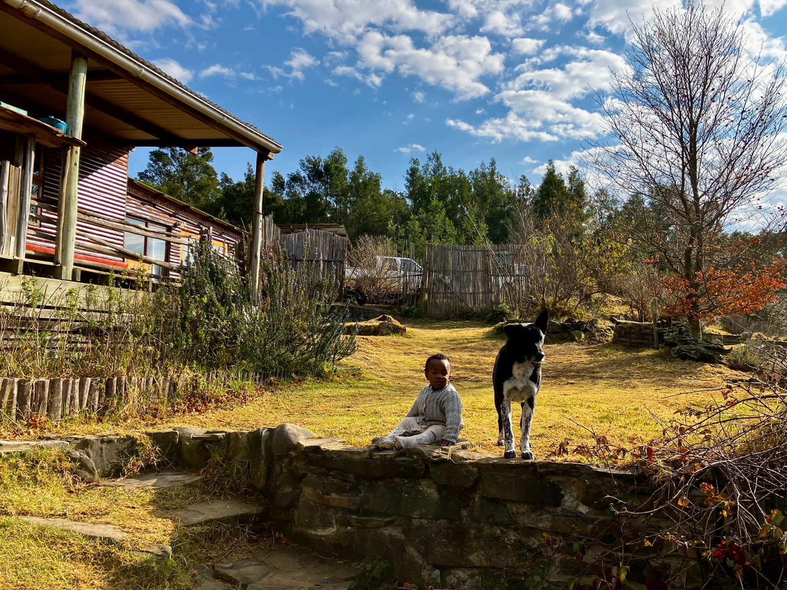 Wild Fox Hill landscape