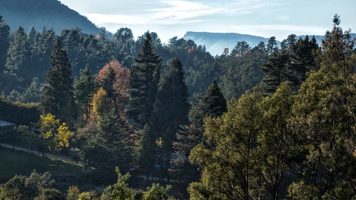 Wild Fox Hill moments