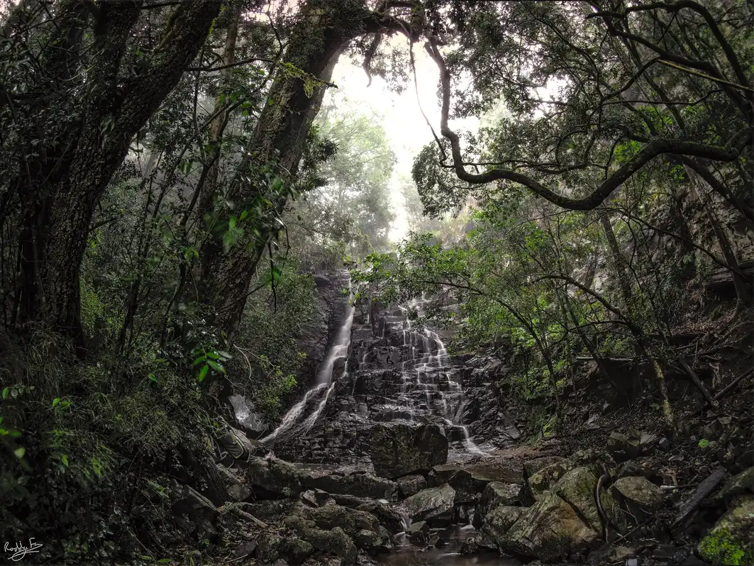 39 Steps in the rain