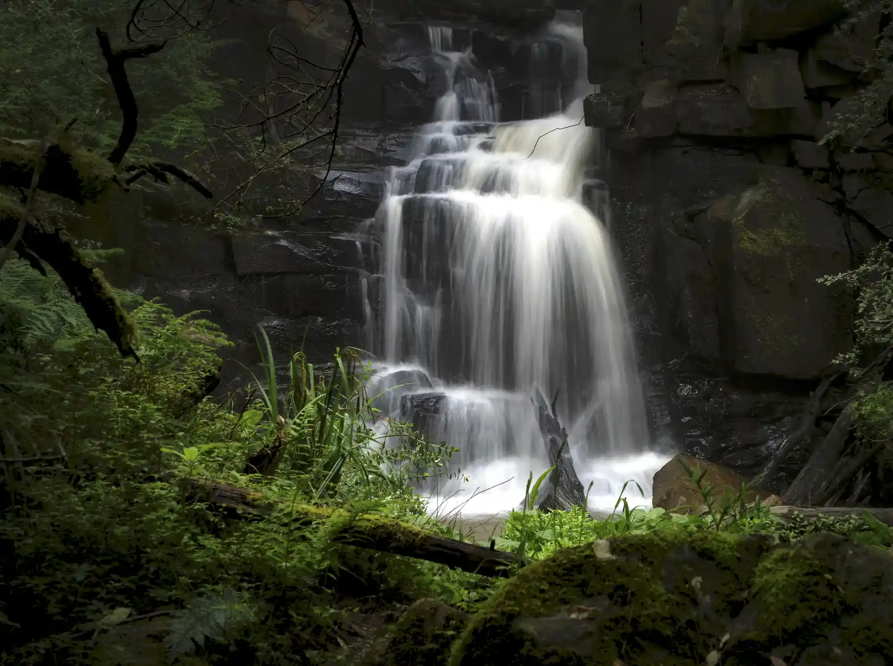 Waterfall in forest setting