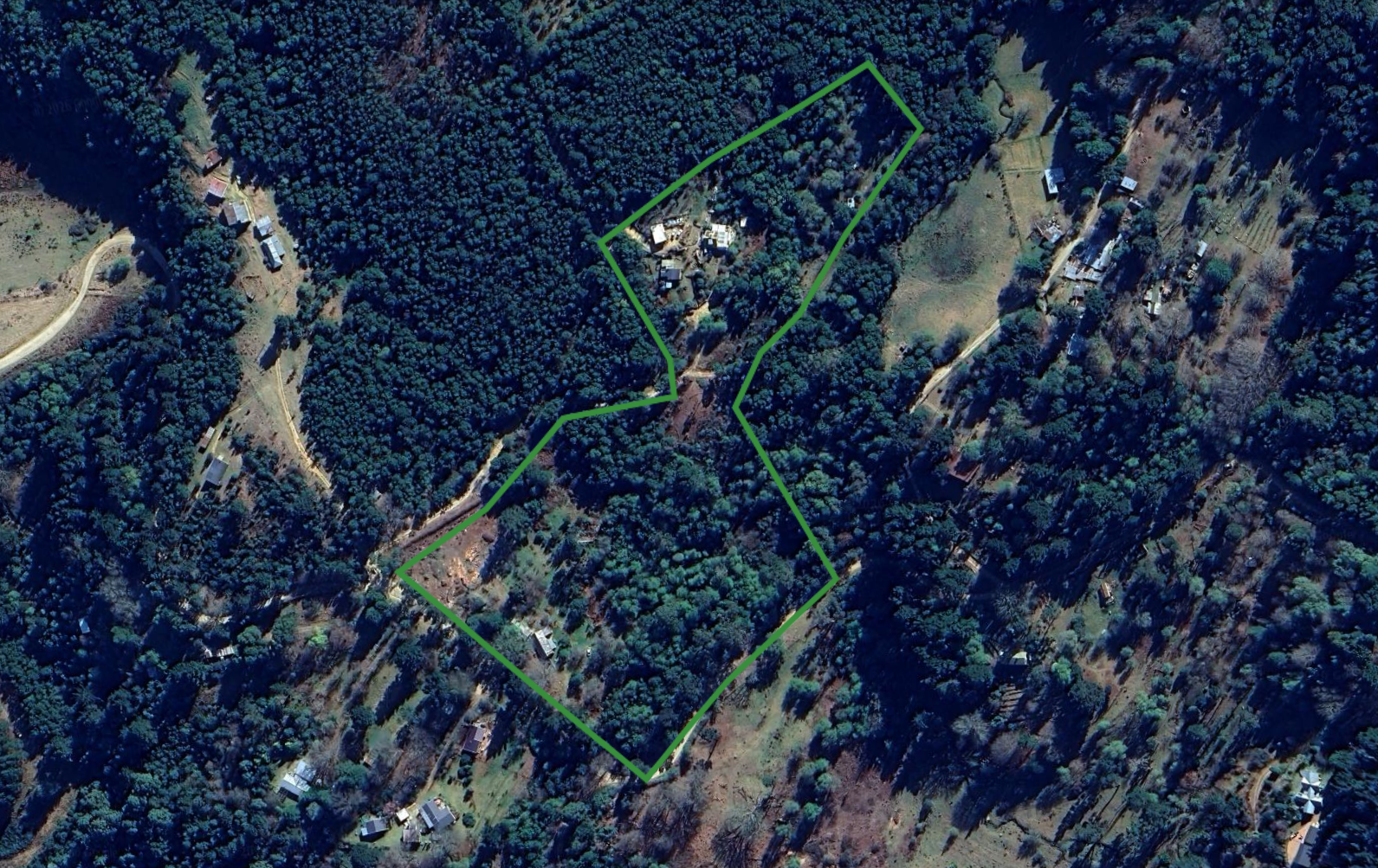 WildFoxHill landscape